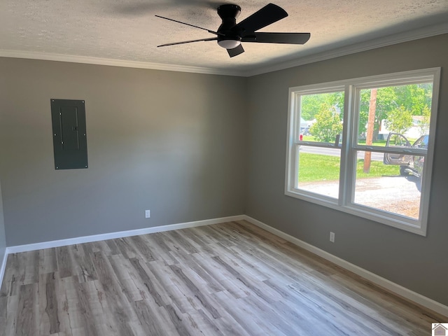 empty room with a ceiling fan, a textured ceiling, electric panel, and light wood-style flooring