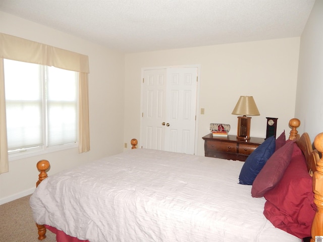 bedroom with carpet floors