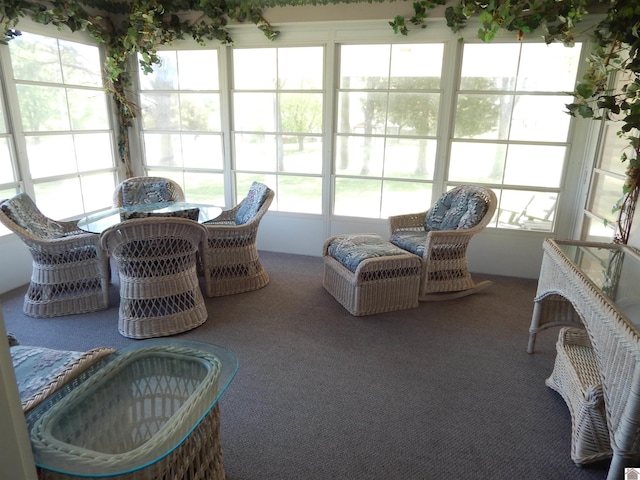 sunroom with carpet