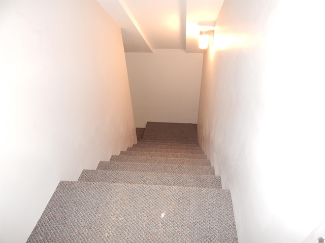 staircase featuring carpet