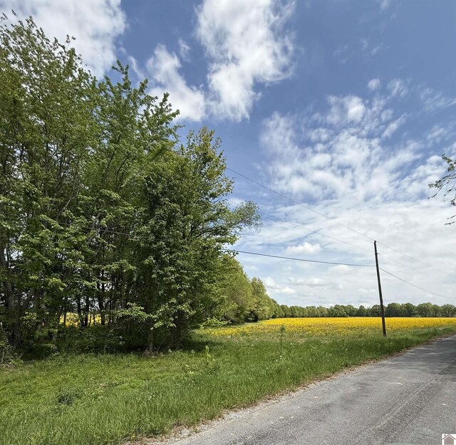 2201 State Route 1241, Hickory, KY 42051