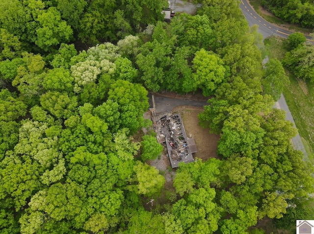 40 Oriole Dr, Eddyville, KY 42038