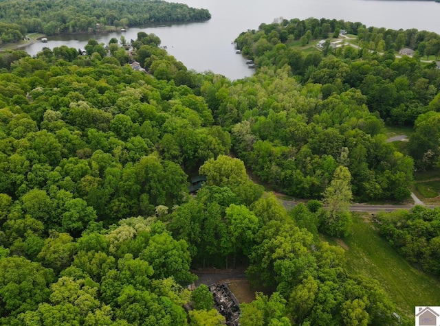 40 Oriole Dr, Eddyville, KY 42038
