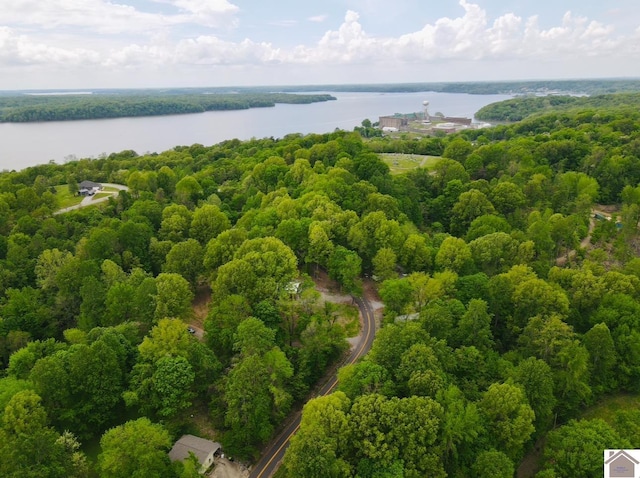 40 Oriole Dr, Eddyville, KY 42038