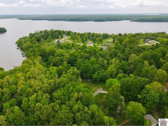 40 Oriole Dr, Eddyville, KY 42038