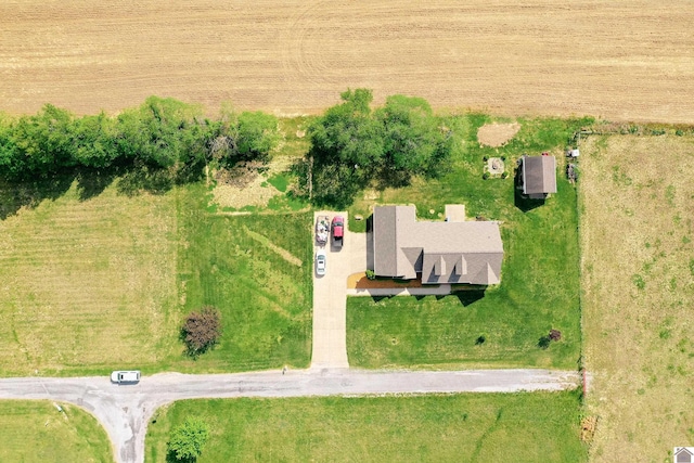drone / aerial view