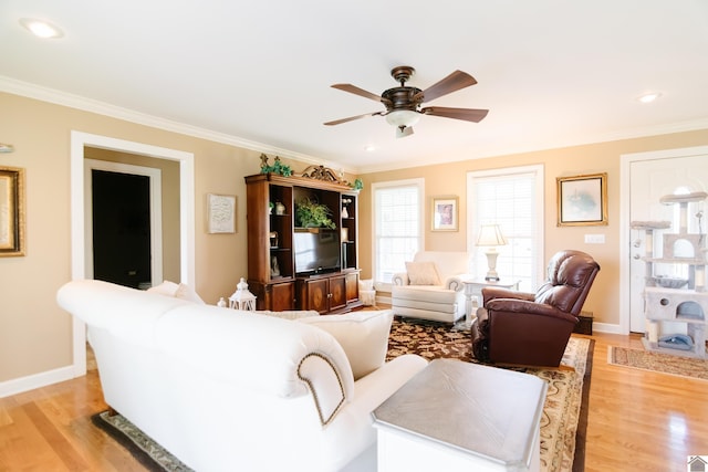 living area with a ceiling fan, ornamental molding, and light wood-style floors