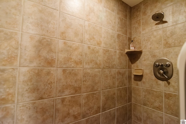 interior details featuring a tile shower