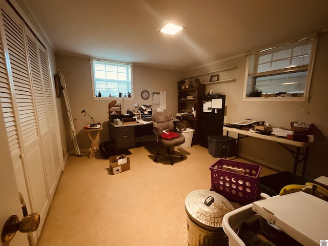view of carpeted office space