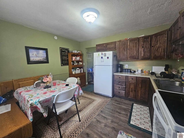 kitchen featuring dark wood finished floors, dark brown cabinets, light countertops, a sink, and white appliances