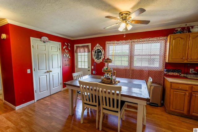 dining space with crown molding, a ceiling fan, light wood finished floors, and a textured ceiling