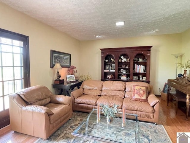 living room featuring a textured ceiling and wood finished floors