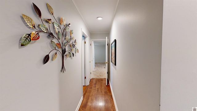 608 E 12th St, Benton, KY 42025 - hall featuring crown molding, baseboards, and wood finished floors