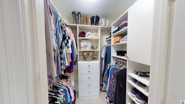 view of walk in closet