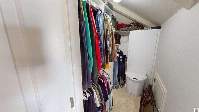 spacious closet with carpet floors