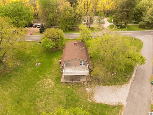 bird's eye view
