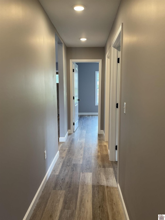 1360 Eagle Ln, Mayfield, KY 42066 - corridor featuring baseboards and wood finished floors