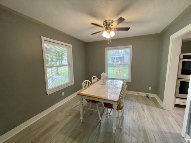 429 S 2nd St, Mayfield, KY 42066 - dining space featuring wood finished floors, baseboards, and a ceiling fan
