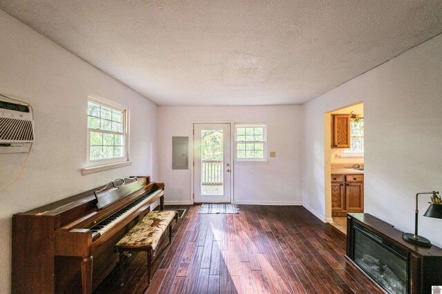 110 Clark Ln, Paducah, KY 42003 - entryway featuring a textured ceiling, a wealth of natural light, and dark wood-type flooring