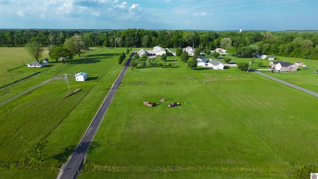 1040 Lone Valley Rd, Calvert City, KY 42029 - aerial view of sparsely populated area