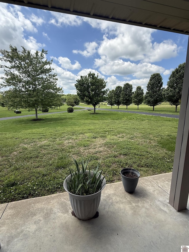 1040 Lone Valley Rd, Calvert City, KY 42029 - view of green lawn with a patio