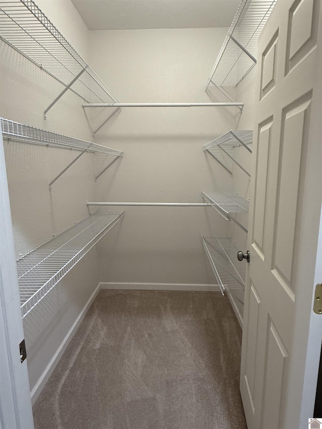 1040 Lone Valley Rd, Calvert City, KY 42029 - walk in closet with carpet