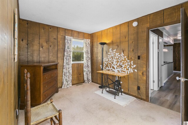 sitting room with wood walls and carpet floors
