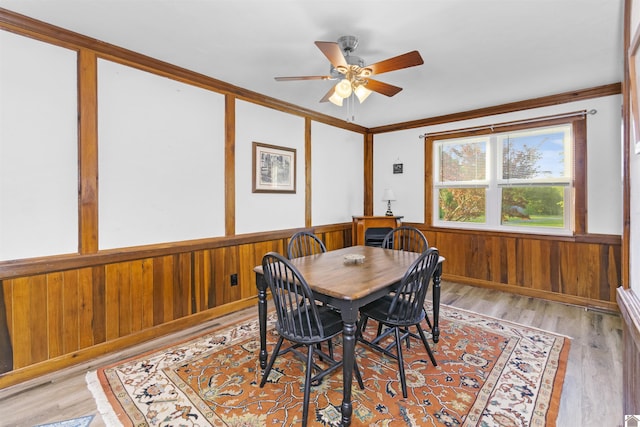 dining area featuring ceiling fan, ornamental molding, light wood finished floors, wainscoting, and wood walls