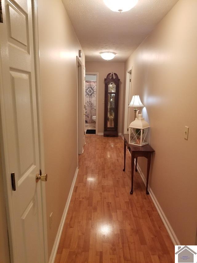 6576 Blue Springs Rd, Cadiz, KY 42211 - corridor featuring light wood-style floors and baseboards