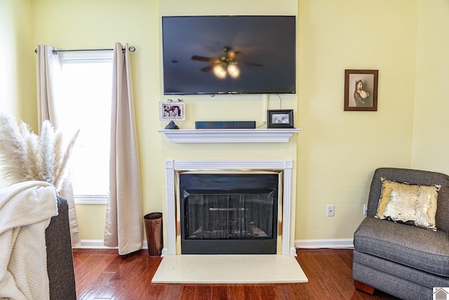living area featuring wood finished floors, a fireplace with raised hearth, and baseboards