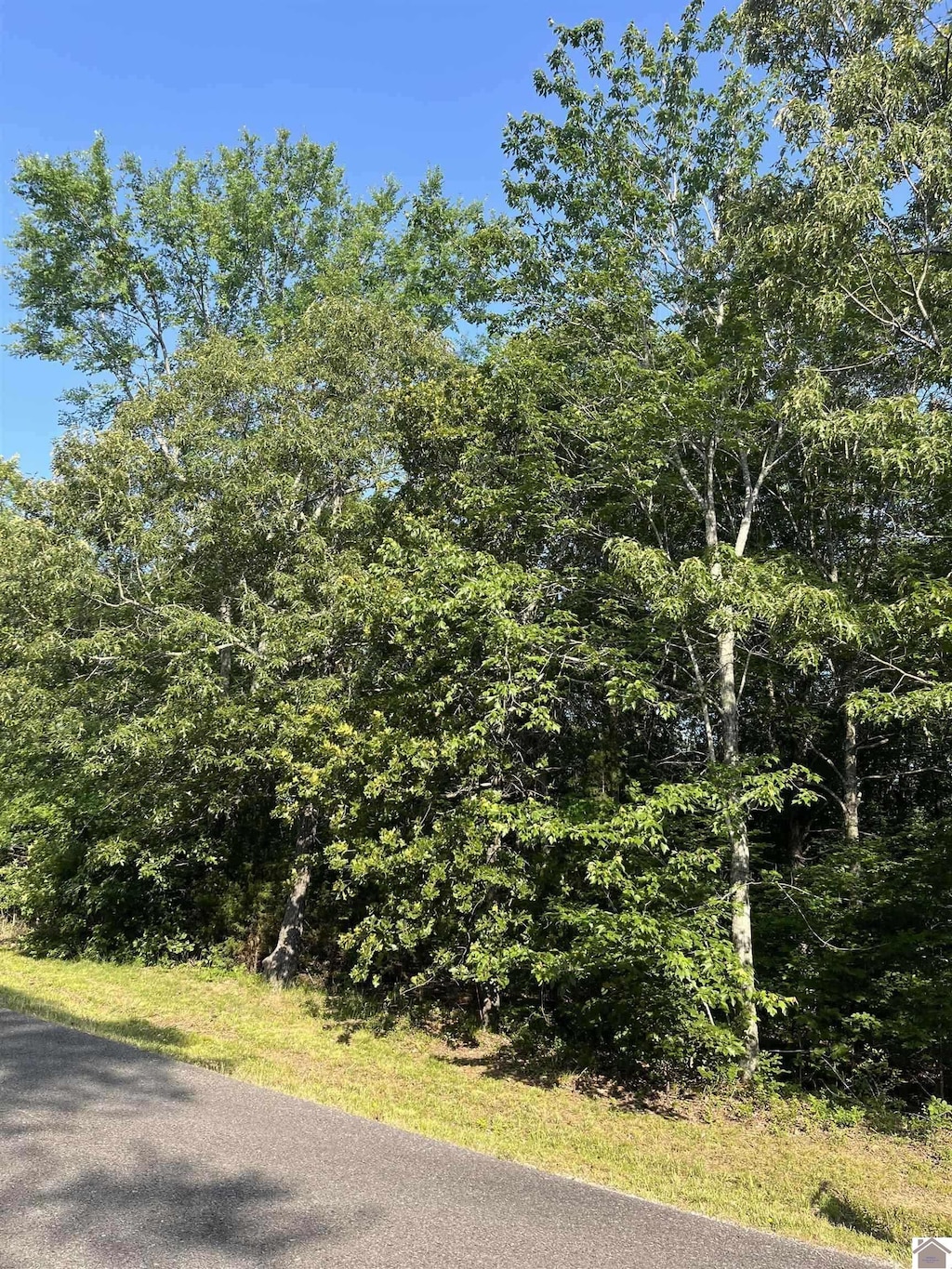 97 Weekend Ln, Murray, KY 42071