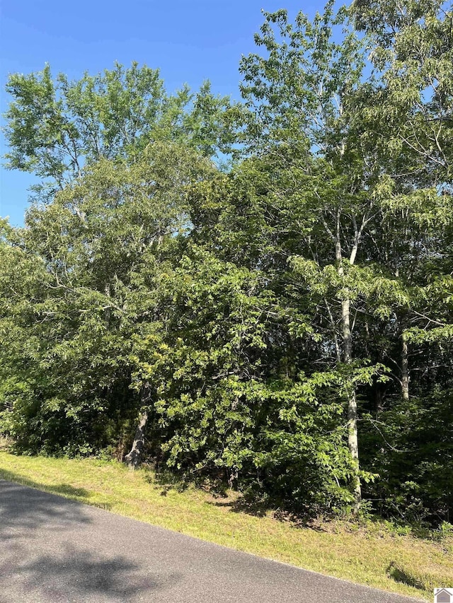 97 Weekend Ln, Murray, KY 42071