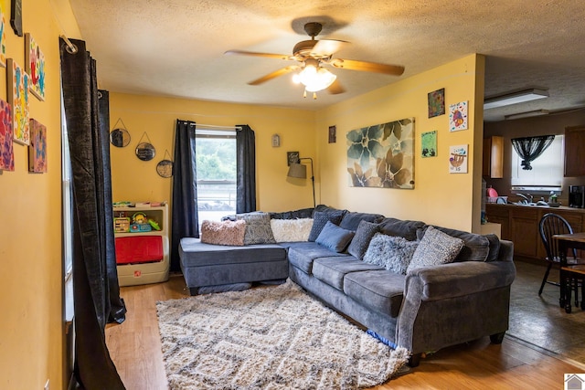 living room featuring a ceiling fan, wood finished floors, and a textured ceiling