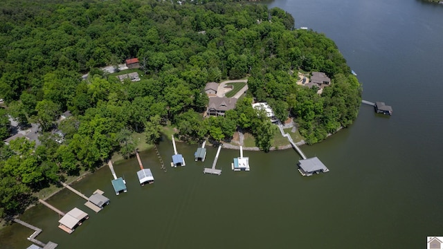 171 Cagel, Gilbertsville, KY 42044 - view of property location with a nearby body of water and a heavily wooded area