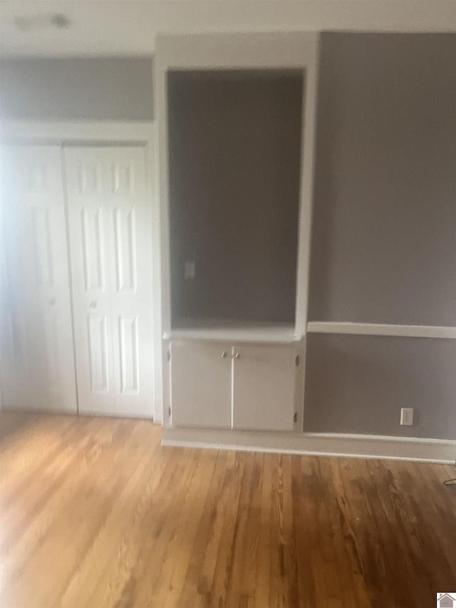 unfurnished bedroom with light wood-type flooring and a closet