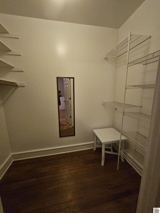 walk in closet featuring dark wood-type flooring
