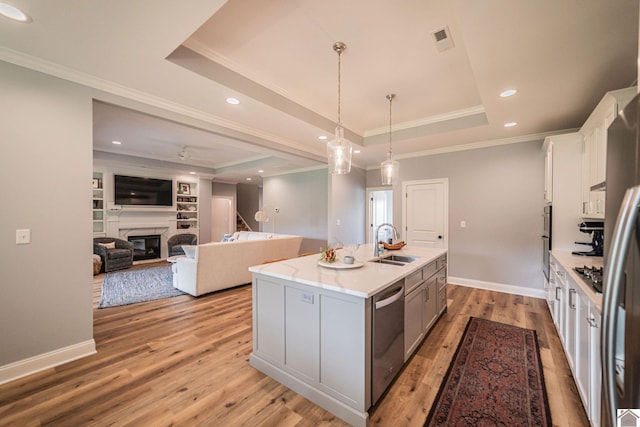 112 Shadow Pine Ln, Paducah, KY 42001 - kitchen featuring a sink, stainless steel appliances, a tray ceiling, crown molding, and light wood finished floors