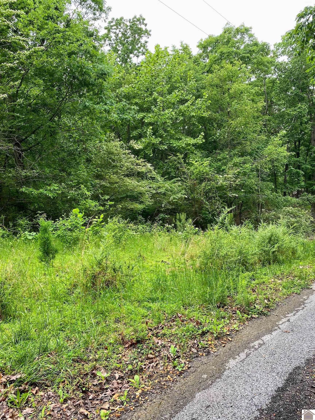 00 Tearose Dr, New Concord, KY 42076