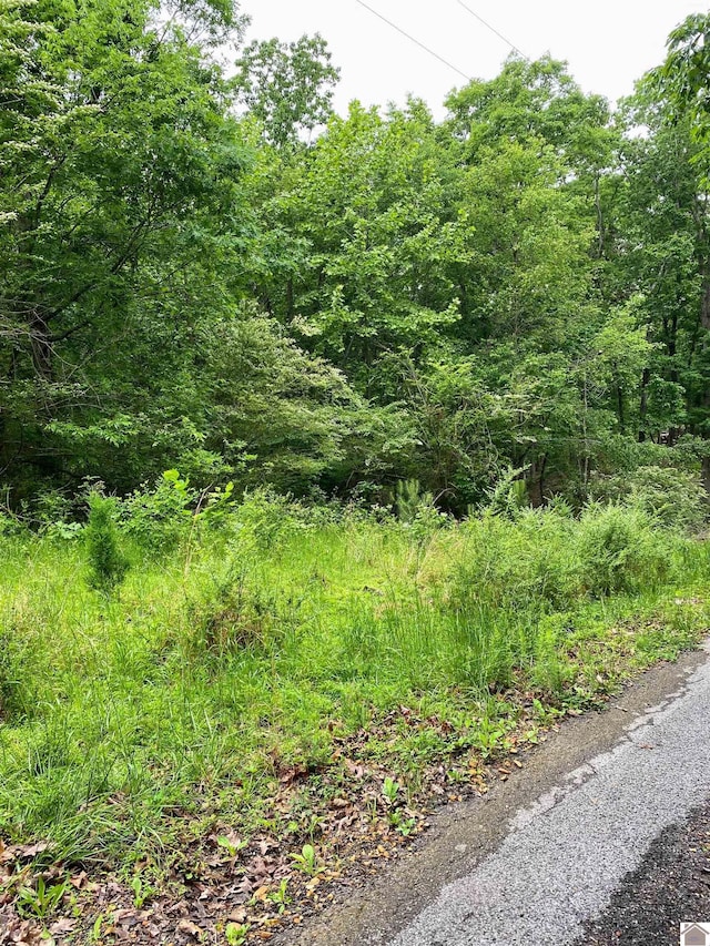 00 Tearose Dr, New Concord, KY 42076