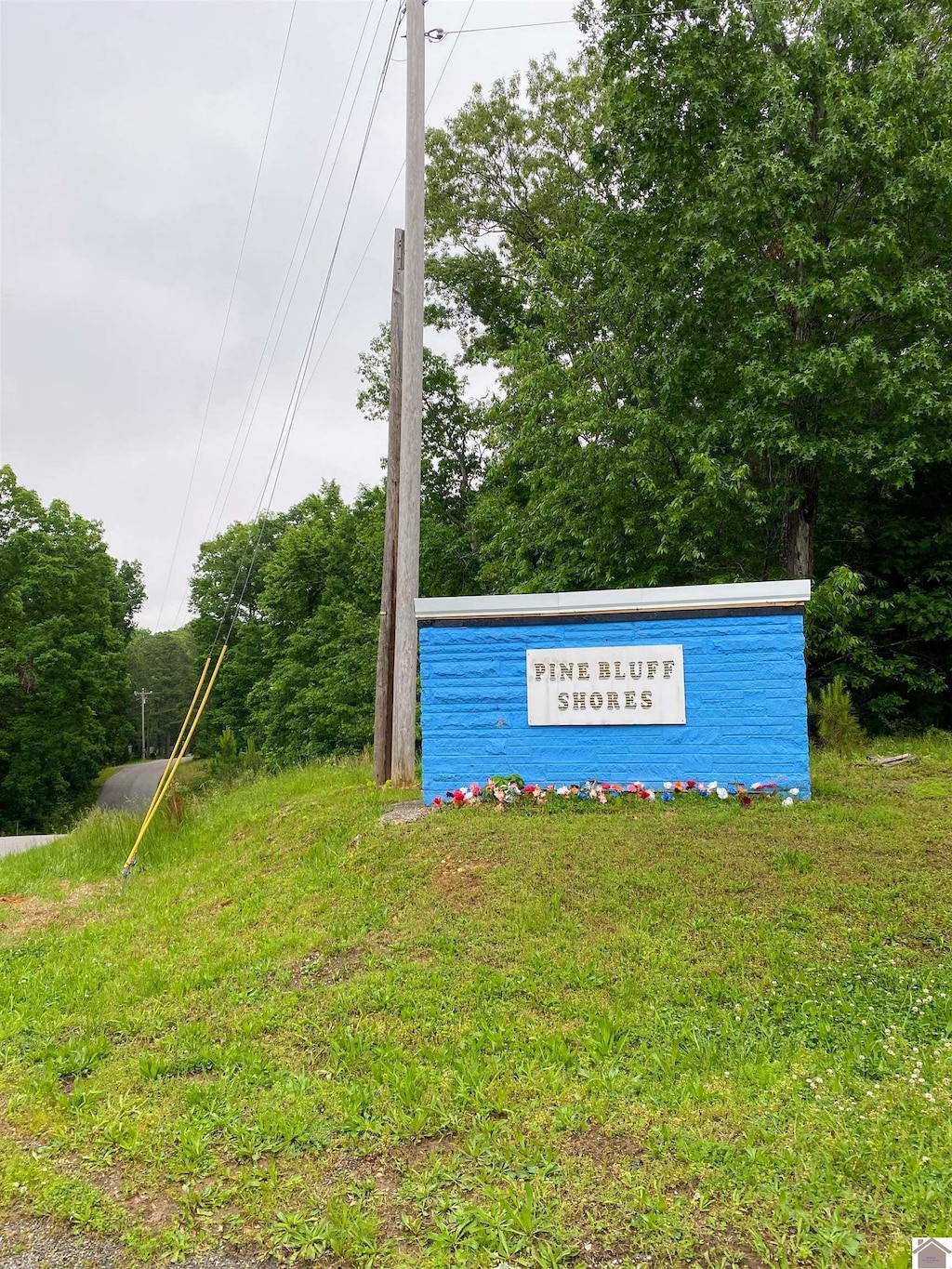 00 Tearose Dr, New Concord, KY 42076