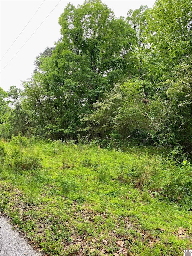 00 Tearose Dr, New Concord, KY 42076