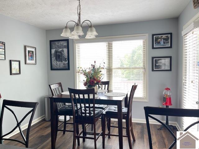 695 Heritage Trce, Cadiz, KY 42211 - dining area with a chandelier, dark wood finished floors, baseboards, and a textured ceiling