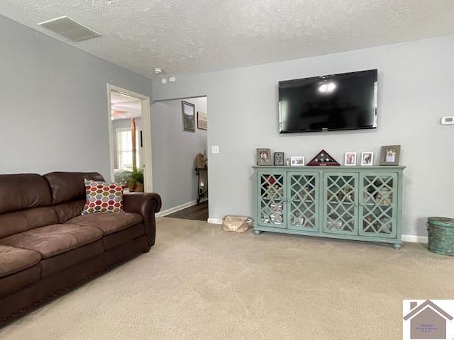 695 Heritage Trce, Cadiz, KY 42211 - living room featuring carpet floors, a textured ceiling, and baseboards
