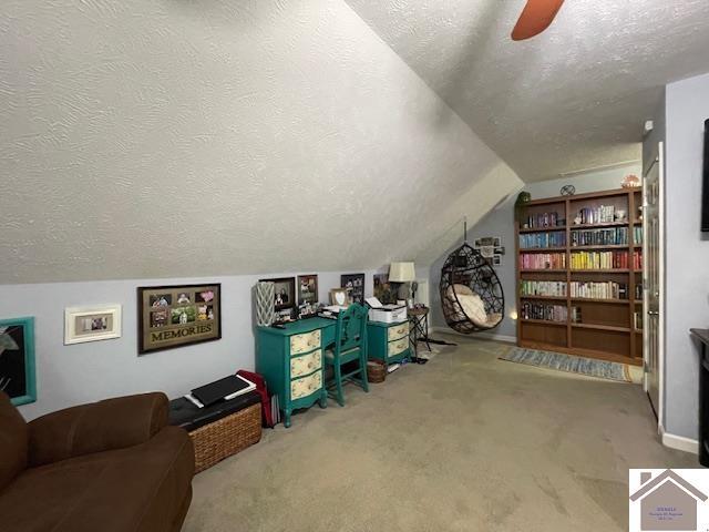 695 Heritage Trce, Cadiz, KY 42211 - bonus room with a textured ceiling, carpet, ceiling fan, and vaulted ceiling