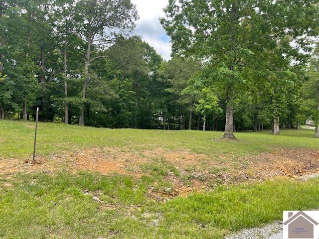 695 Heritage Trce, Cadiz, KY 42211 - view of yard