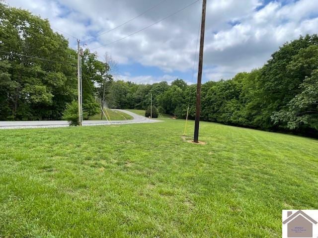 695 Heritage Trce, Cadiz, KY 42211 - surrounding community with a lawn and a forest view