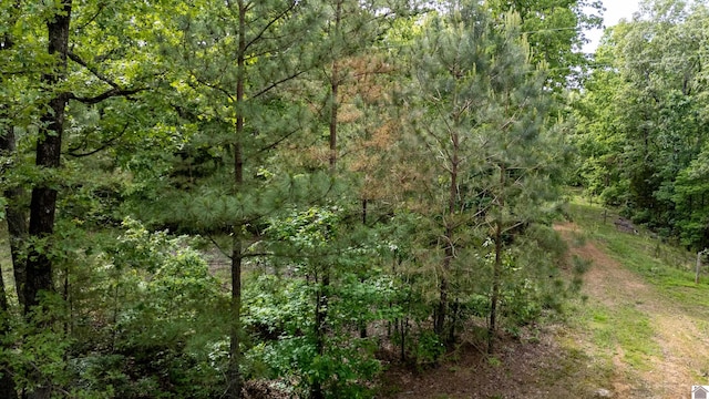 0 Jennings Trl, New Concord, KY 42076