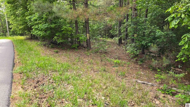 0 Jennings Trl, New Concord, KY 42076