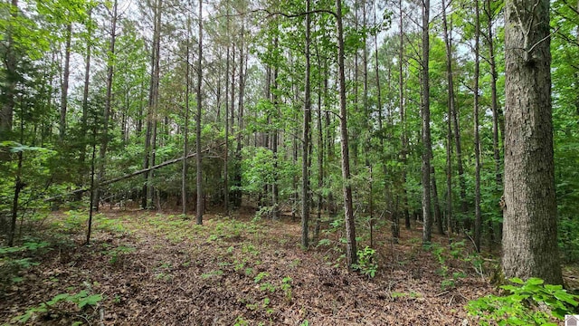 0 Jennings Trl, New Concord, KY 42076