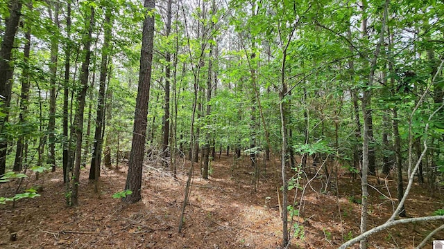 0 Jennings Trl, New Concord, KY 42076